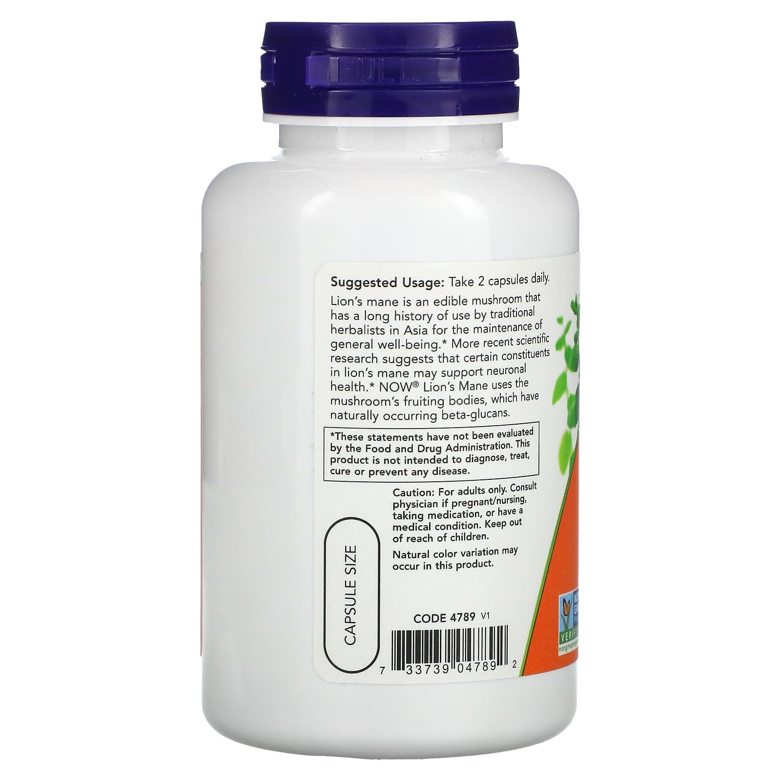 Lion's Mane Mushroom Capsules